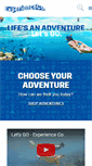 Mobile Screenshot of experienceco.com